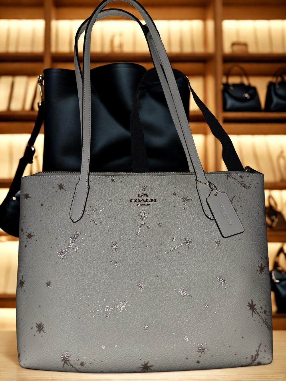 Coach Fiona Star Tote